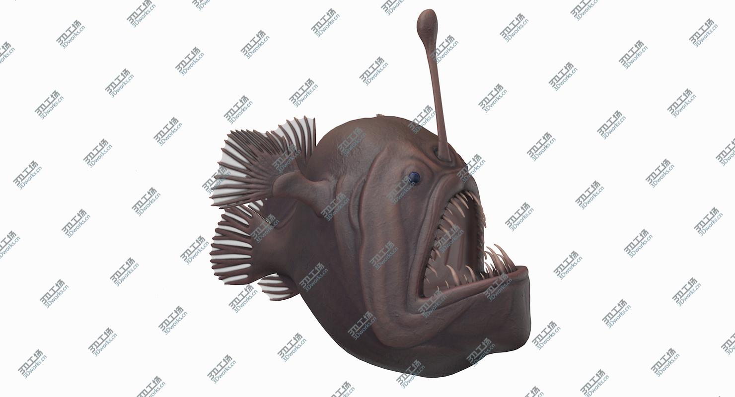 images/goods_img/2021040161/Anglerfish 3D model/5.jpg